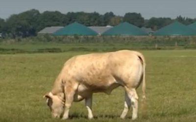 Mestverwaarding wordt steeds belangrijker