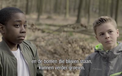 Film Duurzaam Hout uit de Bossen