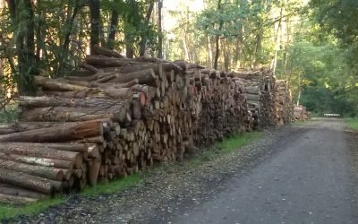 Taskforce duurzaamheid geeft antwoorden over biomassa