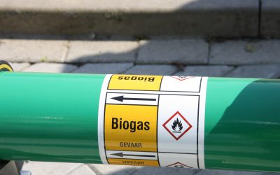Biogas direct op gasnet