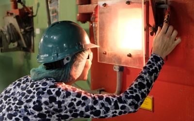 Verduurzaming proceswarmte industrie Overijssel door toepassing bio-energie
