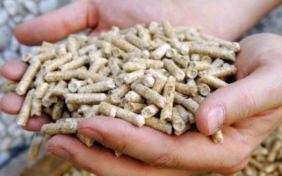 Houtpellets Jalo Biopellets scoren positief op duurzaamheid