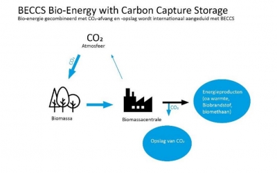 Position paper biomassa en bio-energie