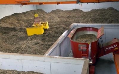 Zwols bedrijf wil bio-energie
