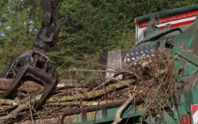 Biomassaverbranding met nuttig gebruik van warmte en CO2