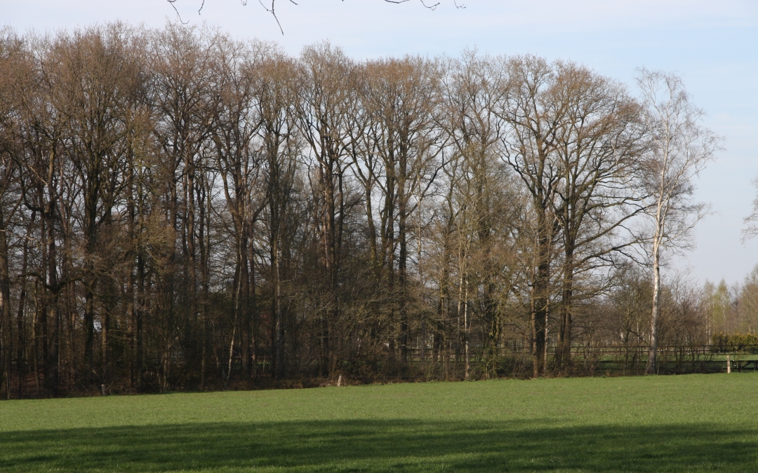 Twentse houtkozijnen uit inlands hout