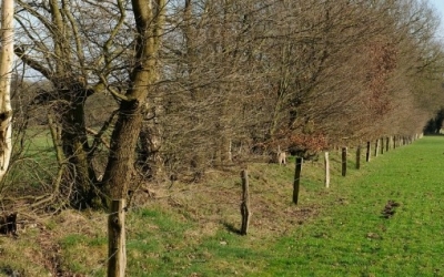 BEON-partijen gaan pilots realiseren voor klimaatslim landschapsbeheer