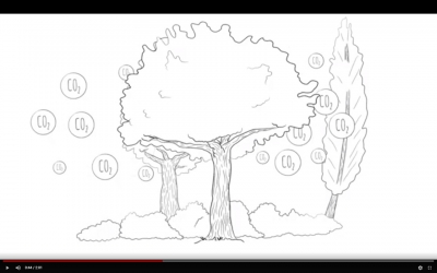 Animatiefilm over CO2 en biomassa
