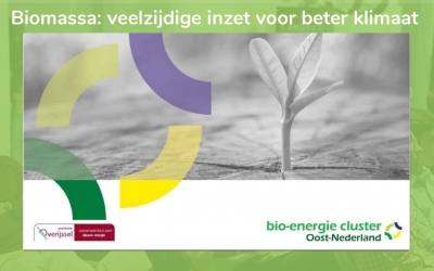 Biomassa: veelzijdig inzetten voor een beter klimaat