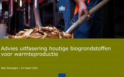 Bart Strengers (PBL) over houtige biomassa: uitfaseren nog zeer onverstandig