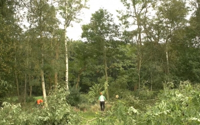 Niet zagen voor de kachel, maar voor het landschap