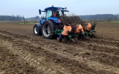 Pilots klimaatslim landschapsbeheer met oog op eindgebruik in materialen en energie