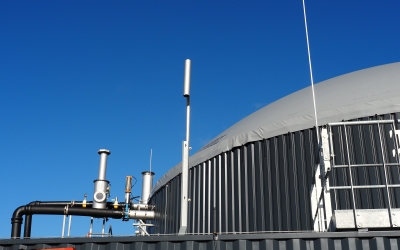 Nieuwe categorie kleine mestvergisting in advies SDE-regeling