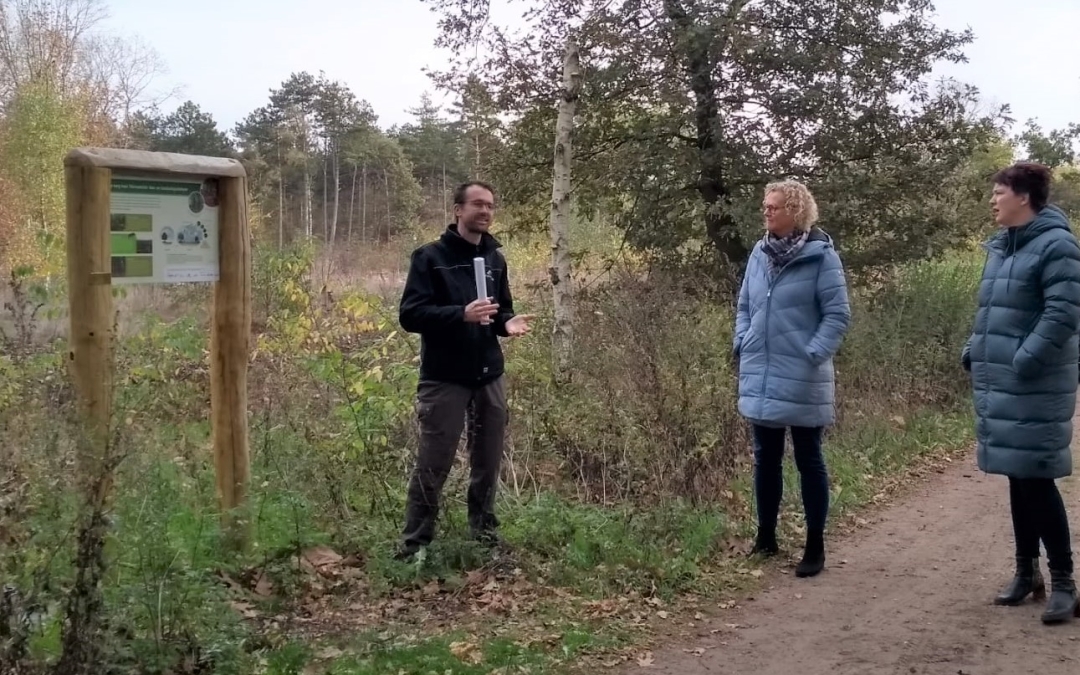 Beschikbaarheid van biogrondstoffen in Nederland