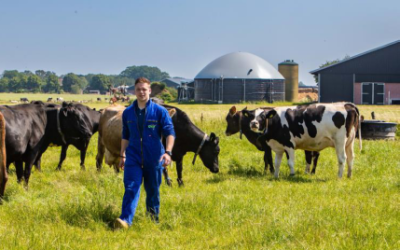 Nieuwe handreiking mestvergisting