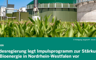 Stevige impuls voor bio-energie bij Duitse buren
